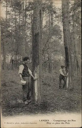 Ak Landes Frankreich, Cramponnage des Pins, Mise en place des Pots