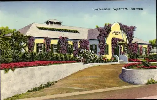 Ak Bermuda, Government Aquarium