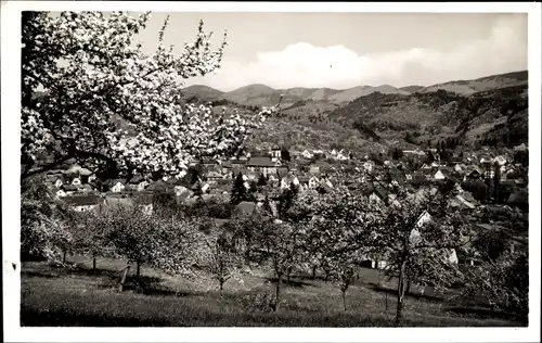 Ak Kandern im Schwarzwald Baden, Teilansicht, Baumblüte