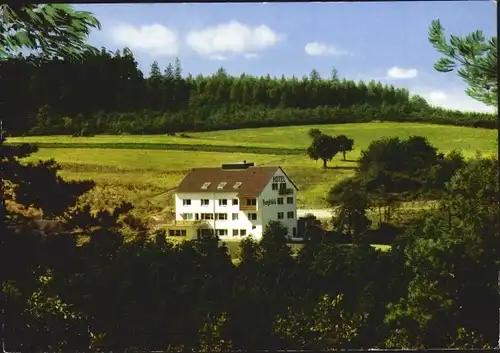 Ak Cleeberg Langgöns im Taunus, Hotel "Burgblick"