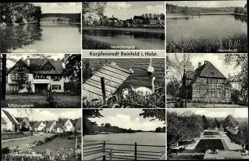 Ak Reinfeld in Holstein, Erholungsheim, Schwarzer Teich, Herrenteich, Genesungsheim