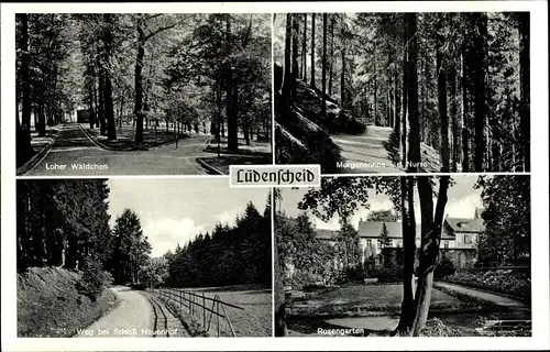 Ak Lüdenscheid im Märkischen Kreis, Rosengarten, Loher Wäldchen, Weg bei Schloss Neuenhof