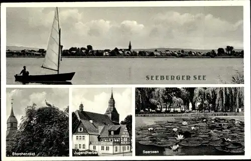 Ak Seeburg im Eichsfeld Nieders., Seeburger See, Segelboot, Storchennest, Jugendherberge, Seerosen