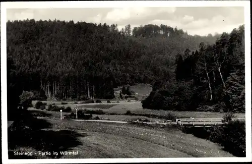 Ak Steinegg Neuhausen im Enzkreis Schwarzwald, Partie im Würmtal