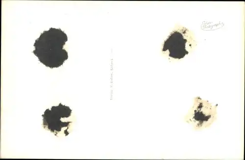 Ak Ostseebad Sellin auf Rügen, Blick auf den Strand, Seebrücke