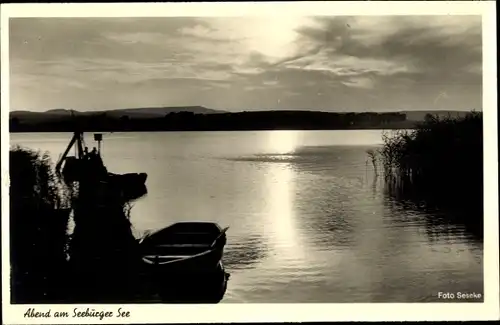 Ak Seeburg im Eichsfeld Niedersachsen, Abend am Schaalsee, Sonnenuntergang, Uferpartie