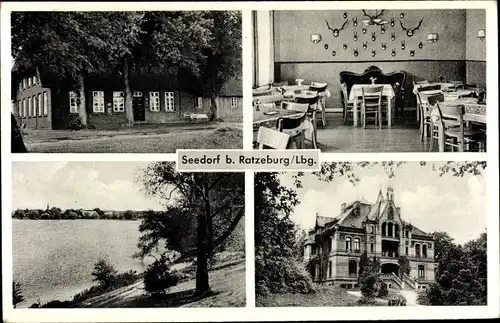 Ak Seedorf in Schleswig Holstein, Gasthaus und Pensionshaus, Schaalsee
