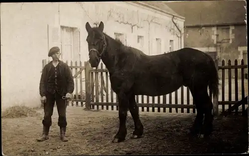 Foto Ak Mann mit Pferd