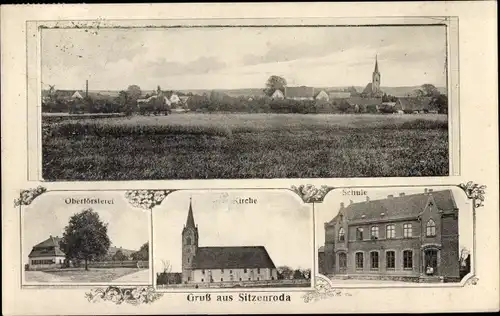 Ak Sitzenroda Schildau in Sachsen, Gesamtansicht, Oberförsterei, Kirche, Schule