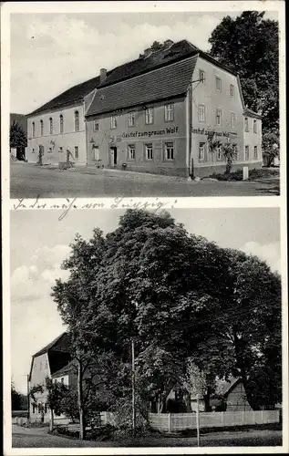 Ak Streitwald Frohburg in Sachsen, Gasthof zum grauen Wolf, Bes. G. Thieme