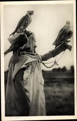 Ak Fauconnier Arabe, Arabischer Falkner, Falken auf dem Arm