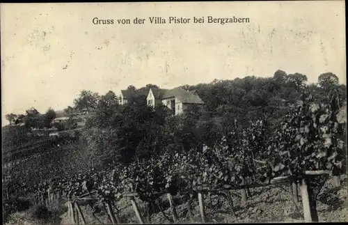 Ak Bad Bergzabern Rheinland Pfalz, Villa Pistor, Anbaufelder