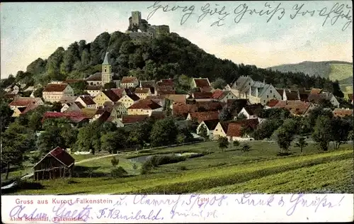 Präge Ak Falkenstein im Harz, Panorama