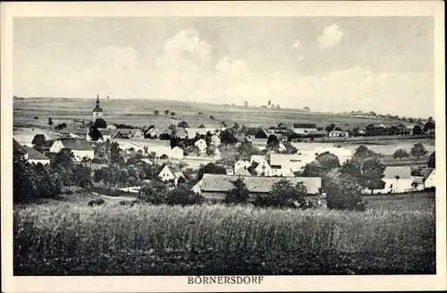 Ak Börnersdorf Bad Gottleuba Berggießhübel, Panorama