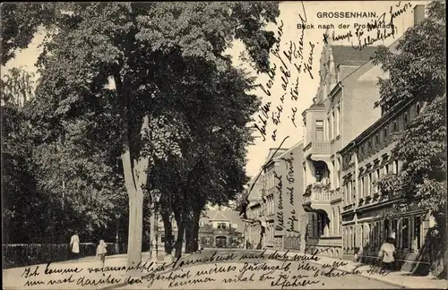 Ak Großenhain Sachsen, Blick nach der Promenade