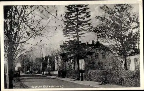 Ak Eggebek in Schleswig Holstein, Straßenpartie, Häuser