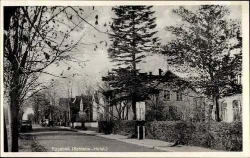 Ak Eggebek in Schleswig Holstein, Straßenpartie, Häuser