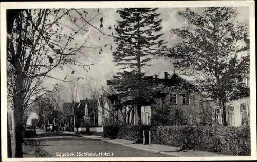 Ak Eggebek in Schleswig Holstein, Straßenpartie, Häuser