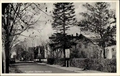 Ak Eggebek in Schleswig Holstein, Straßenpartie, Häuser