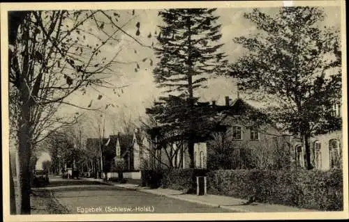Ak Eggebek in Schleswig Holstein, Straßenpartie, Häuser