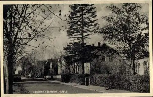 Ak Eggebek in Schleswig Holstein, Straßenpartie, Häuser