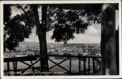 Ak Głuchołazy Zdrój Bad Ziegenhals Schlesien, Stadtpanorama von der Wilhelmshöhe aus