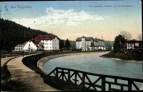 Ak Głuchołazy Zdrój Bad Ziegenhals Schlesien, Villa Josefine, Paradies, Ferdinandsbad