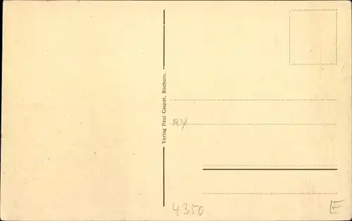 Ak Recklinghausen, Städische Anlagen am Grafenwall, Schwanenteich