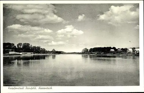 Ak Reinfeld Schleswig Holstein, Blick auf den Herrenteich