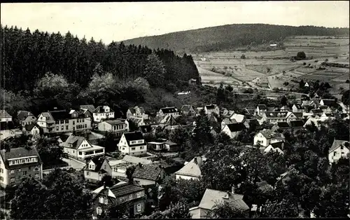 Ak Schmitten im Hochtaunuskreis Hessen, Blick auf den Ort, Felder, Berge