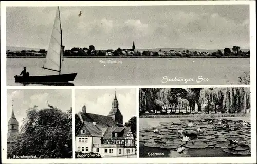 Ak Seeburg im Eichsfeld Nieders., Seeburger See, Segelboot, Storchennest, Jugendherberge, Seerosen