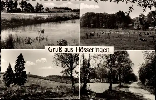 Ak Hösseringen Suderburg Niedersachsen, Landschaftsbilder, See, Heide, Waldweg, Bauernhof