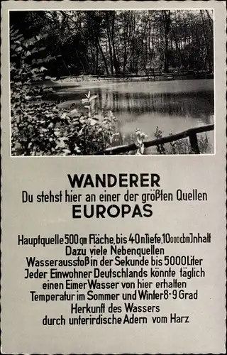 Ak Rhumspringe in Niedersachsen, Rhume Quelle