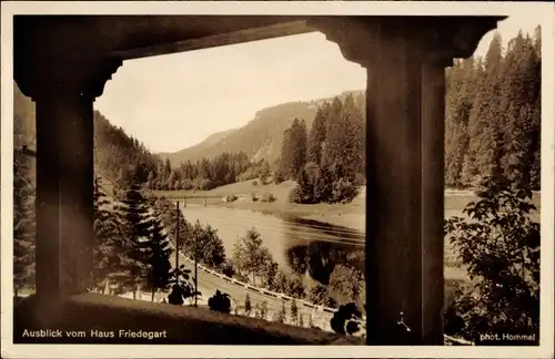 Ak St. Blasien im Schwarzwald, Ausblick vom Haus Friedegart