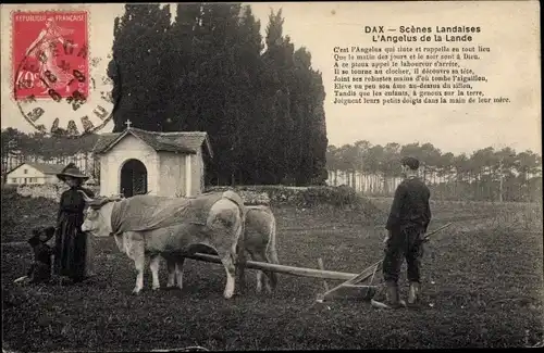 Ak Dax Landes, Scenes Landaises, l'angelus de la Lande