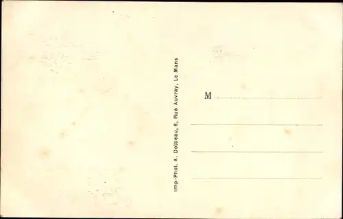 Ak Beaumont sur Sarthe, Le Vieux Chateau