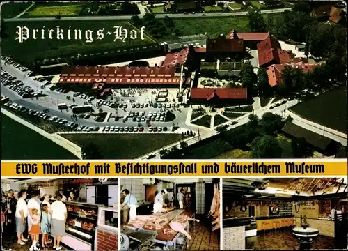 Ak Sythen Haltern am See, Europahof Prickings Hof, EWG Mutterhof mit Besichtigungsstall u. Museum