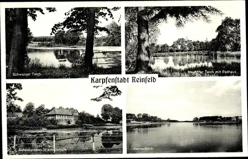 Ak Reinfeld in Holstein, Schwarzer Teich, Neuhöfer Teich mit Rathaus, Schlossgraben u. alte Schule