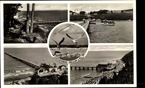 Ak Ostseebad Sellin auf Rügen, Strand, Sebrücke, Dampfer, Möwe