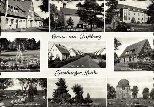 Ak Faßberg Lüneburger Heide, Hotel zur Reblaus, Ehrenmal, Lönsdenkmal, Post, Heidschnucken