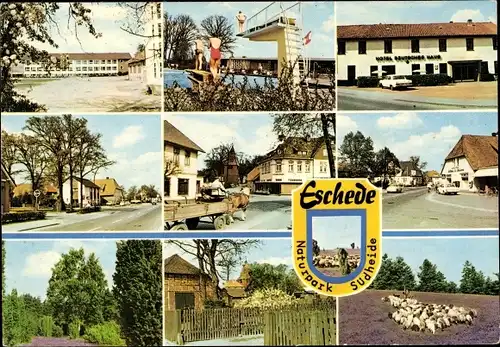 Ak Eschede in der Lüneburger Heide, Hotel Deutsches Haus, Heidschnucken, Freibad