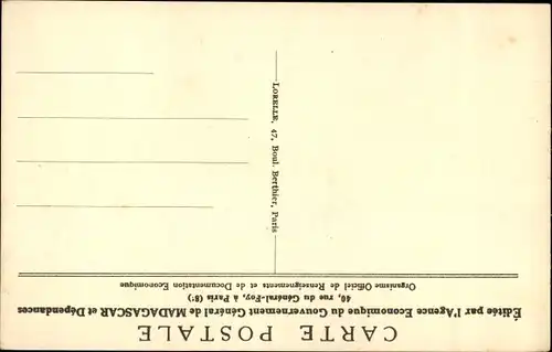 Ak Madagaskar Madagascar, Bananiers