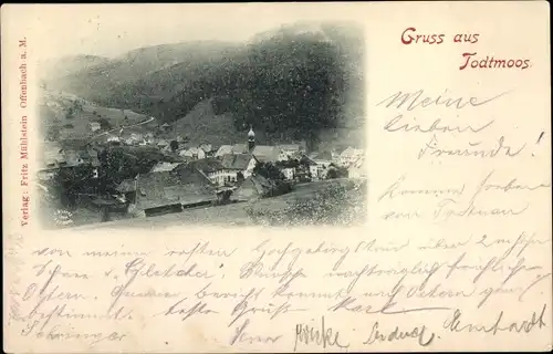 Ak Todtmoos im Schwarzwald, Blick auf die Ortschaft