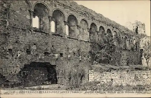 Ak Druyes les Belles Fontaines Yonne, Ancien Chateau, Ruines de la Grande Salle