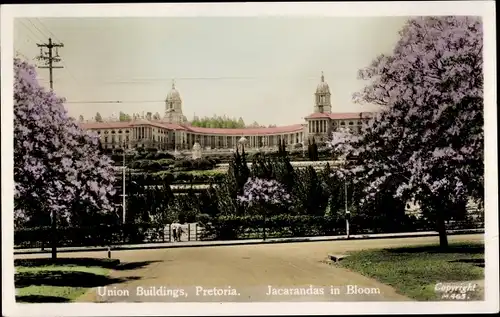 Ak Pretoria Südafrika, Union Buildings, Jacarandas in bloom