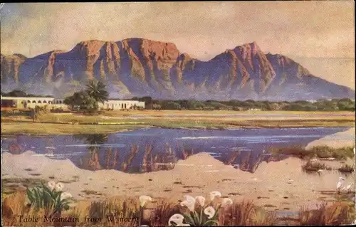 Ak Wynberg Cape Town Kapstadt Südafrika, Table Mountain, Tafelberg