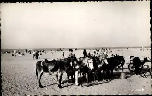 Ak Ouistreham Riva Bella Calvados, Les petits anes sur la Plage