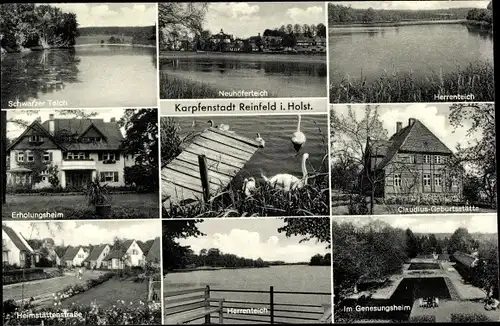 Ak Reinfeld in Holstein, Erholungsheim, Schwarzer Teich, Herrenteich, Genesungsheim