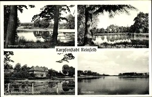 Ak Reinfeld in Holstein, Schwarzer Teich, Neuhöfer Teich mit Rathaus, Schlossgraben u. alte Schule