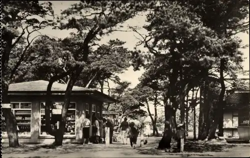 Ak Ostseebad Dierhagen, Ladenstraße am Strand